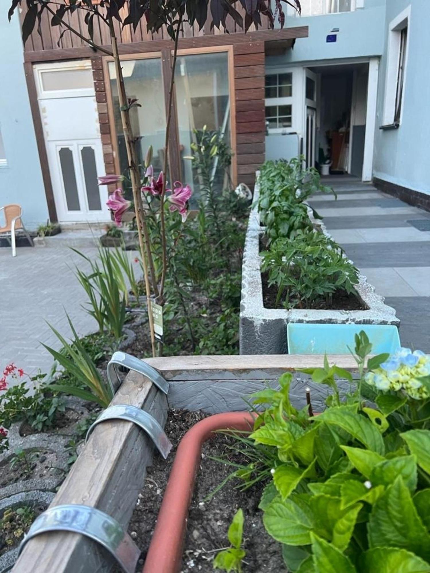 Appartement Antike Wohnmoeglichkeit Kurz Und Langfristig 100Qm Erdgeschoss à Lauchhammer Extérieur photo