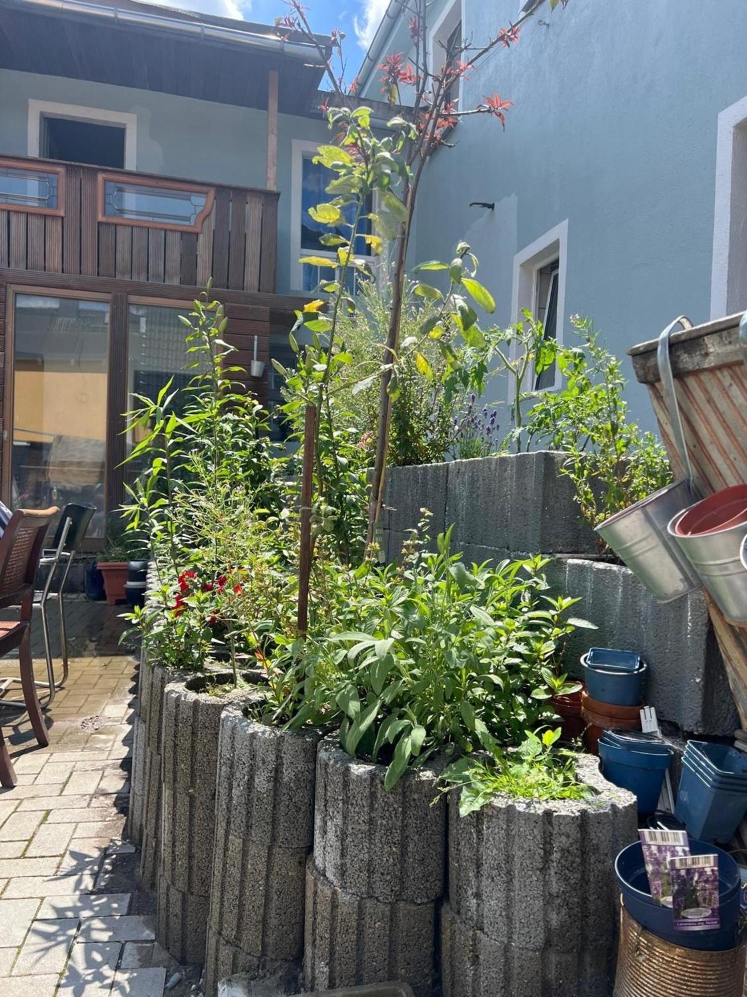 Appartement Antike Wohnmoeglichkeit Kurz Und Langfristig 100Qm Erdgeschoss à Lauchhammer Extérieur photo