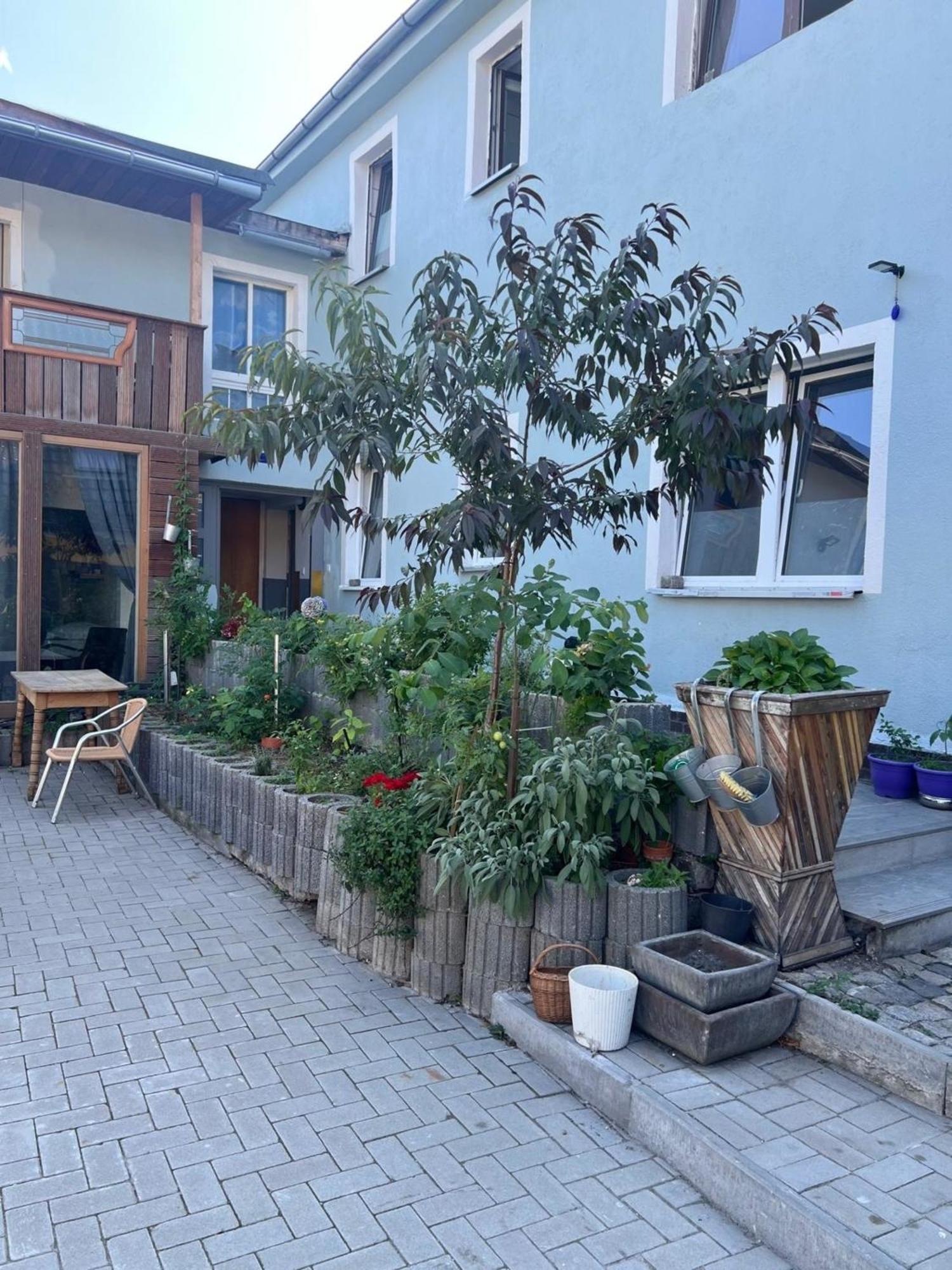 Appartement Antike Wohnmoeglichkeit Kurz Und Langfristig 100Qm Erdgeschoss à Lauchhammer Extérieur photo