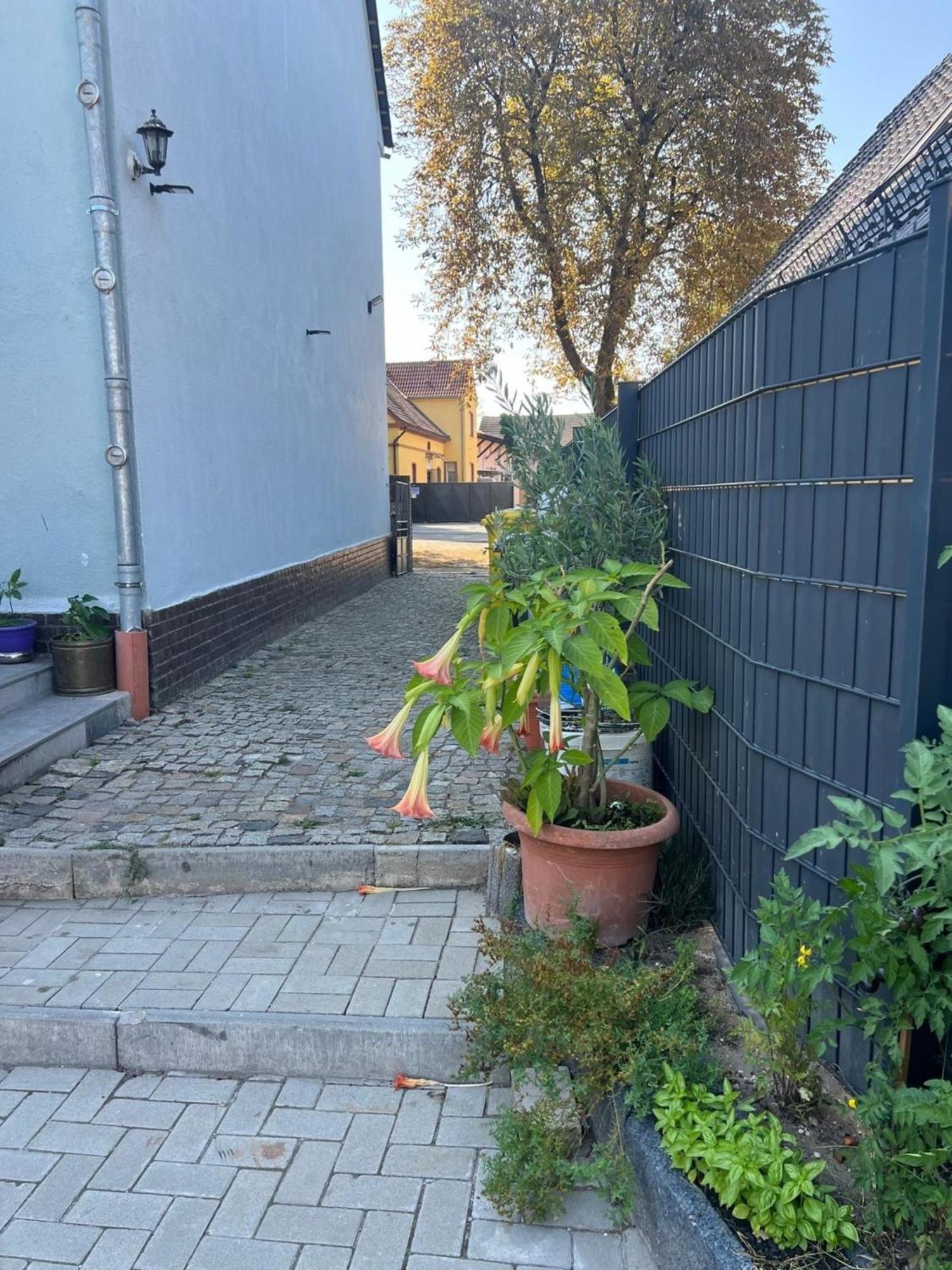 Appartement Antike Wohnmoeglichkeit Kurz Und Langfristig 100Qm Erdgeschoss à Lauchhammer Extérieur photo